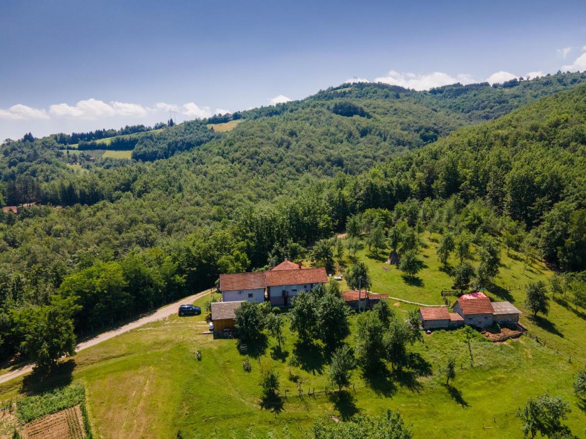 Kuca Za Odmor Dm Bajina Basta Exterior foto
